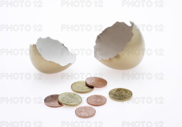 Gold Chicken Egg with Euro Coins against White Background