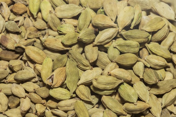 Large group of green cardamom seeds
