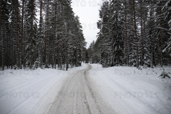 Beautiful snow-covered winter landscape. A road through a snow-covered pine and spruce forest. Cold winter landscape in Sweden