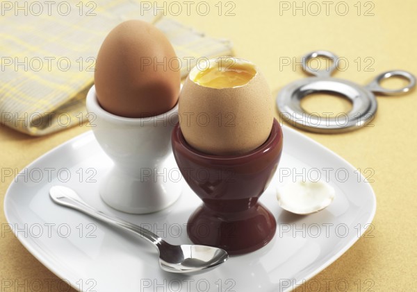 Plate with Soft Boiled Egg in Egg Cup