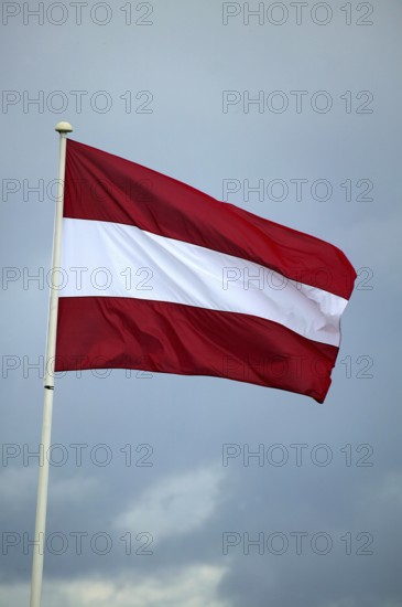 Austrian Flag in the Wind