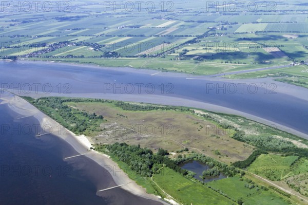 Elbe Island Pagensand, Elbe, Schleswig-Holstein, Germany, Europe