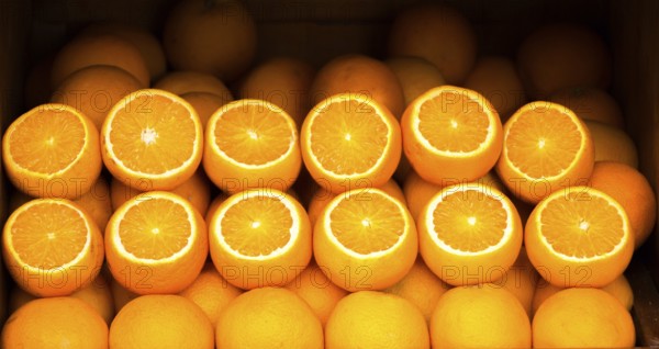 Load of the fresh fruit of orange in view