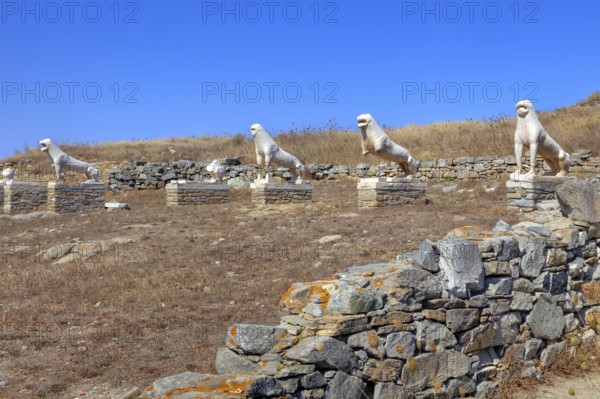 Lion Terrace, lion statues, sacred precinct, Delos, near Mykonos, Cyclades, Greece, Europe
