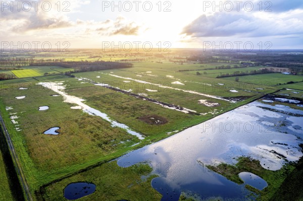 Vreeser Wiesen Bockholter Dose drone image, rewetted bog area, Bockholter Dose nature reserve, Emsland, Germany, Europe