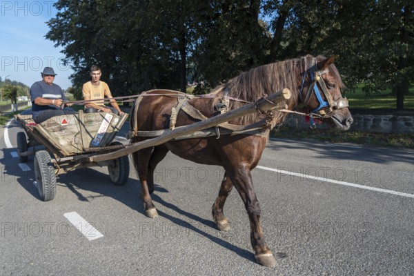 SUCEVITA, MOLDOVIA/ROMANIA - SEPTEMBER 18 : Two men with a horse and cart in Sucevita in Moldovia Romania on September 18, 2018. Two unidentified people