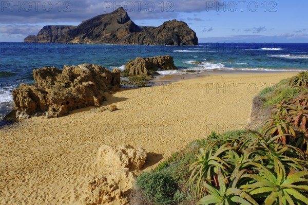 Beach, sand, sea, waves, rocks, aloes, south coast, Calheta, Atlantic Ocean, Porto Santo, Madeira Island