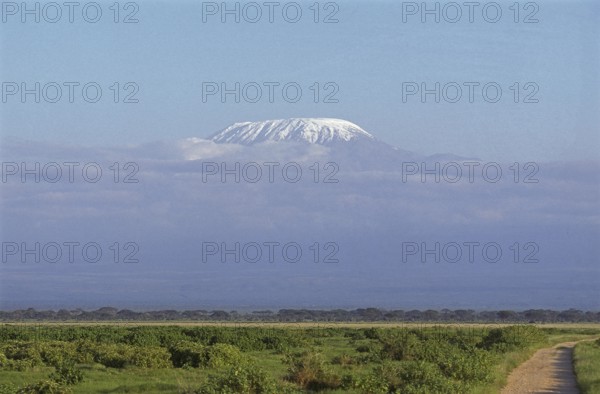 Savannah with Kilimandjaro Mountain, Tanzania, Africa