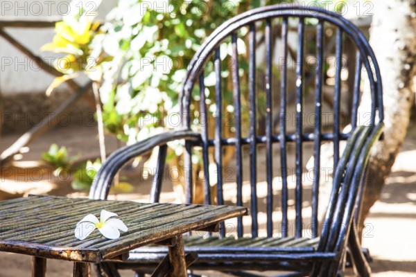 Kenya. Elegant furniture made of wood in an African garden