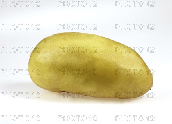Potato, Potatoes (solanum tuberosum), Solanaceae, Charlotte Potato, Vegetable against white background