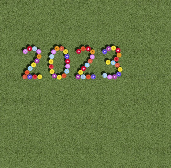 Year 2023 on clover meadow