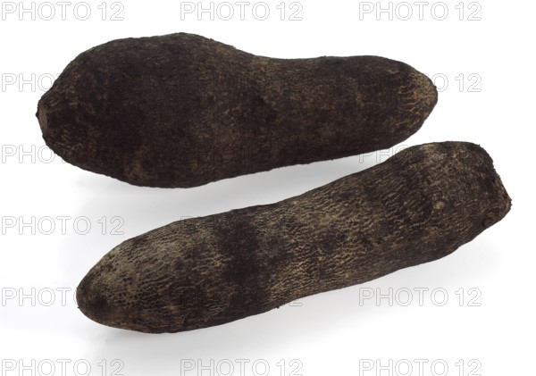Yam (dioscorea) against White Background