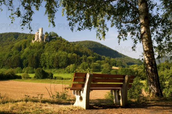 Bench with view of Neideck Castle, castle ruins, Wiesenttal, Franconian Switzerland, Bavaria, Germany, Europe