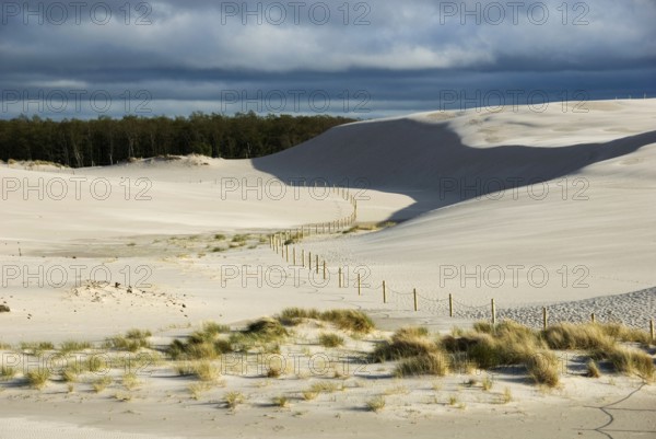 Travelling Dune, Slowinski, Slowinski National Park, Leba, Pomerania, Poland, Europe