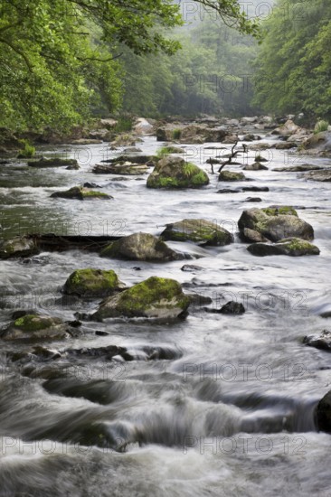 River Ambleve, Fond de Quarreux, Ardennes, Wallonia, Belgium, Europe