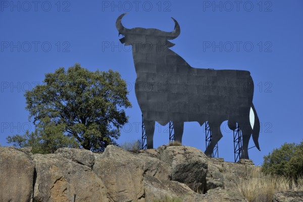 Osborne bull, Toro de Osborne, Trujillo, Provinz Cáceres, Extremadura, Spain, Europe