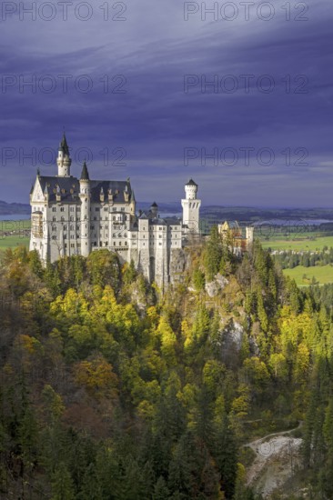 Neuschwanstein Castle seen from Marienbrücke in autumn, fall, 19th-century Romanesque Revival palace at Hohenschwangau, Bavaria, Germany, Europe