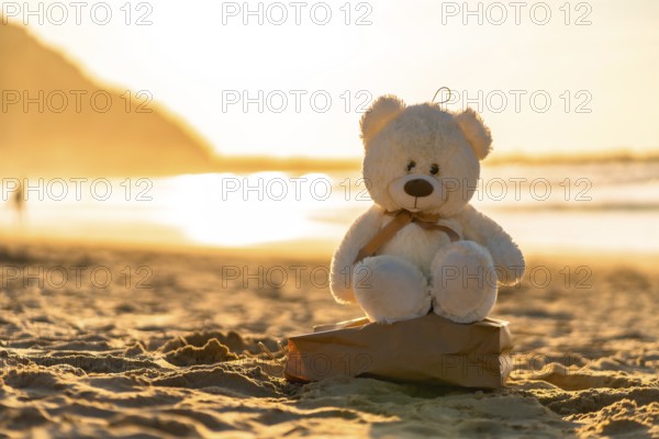 A teddy bear is sitting on a rock on a beach. The sun is setting in the background, creating a warm and peaceful atmosphere