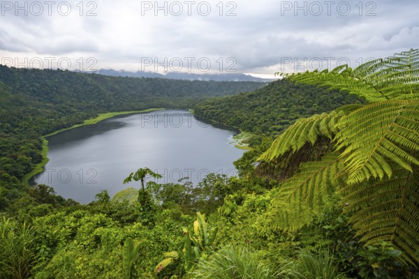 Volcanic crater lake Laguna de Hule with tropical rainforest, Refugio Nacional de Vida Silvestre Mixto Bosque Alegre, Alajuela province, Costa Rica, Central America