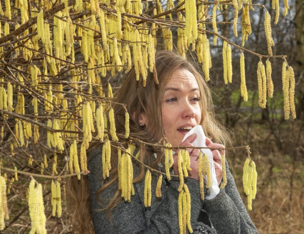 Young Caucasian woman with allergy problem stands by flowering hazel bush and sneezes into a handkerchief in Ystad, Skåne County, Sweden, Scandinavia, Europe
