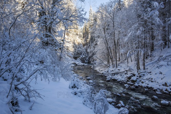 Winter, snowy landscape, river Breitach and hiking trail through the Breitachklamm gorge near Oberstdorf, Oberallgäu, Allgäu, Bavaria, Germany, Europe