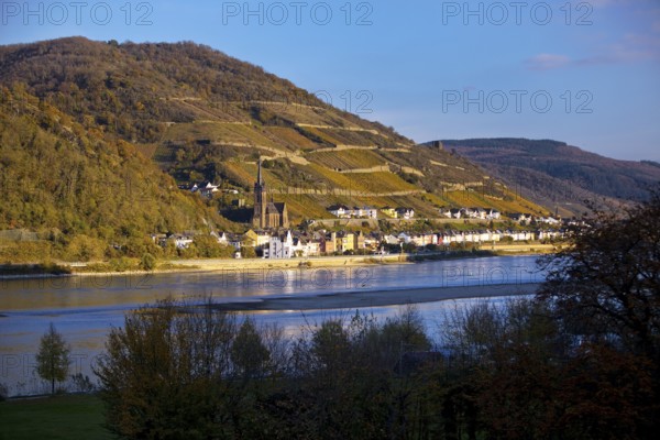 View across the Rhine in the late evening light from Bacharach to Lorch with the parish church of St Martin, UNESCO World Heritage Upper Middle Rhine Valley, Hesse, Germany, Europe