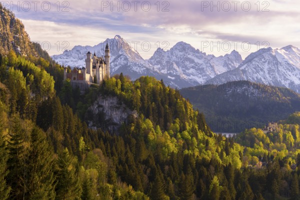 Neuschwanstein Castle near Füssen, Hohenschwangau Castle, evening mood, Schwangau, Allgäu Alps, snow, East Allgäu, Bavaria, Germany, Europe