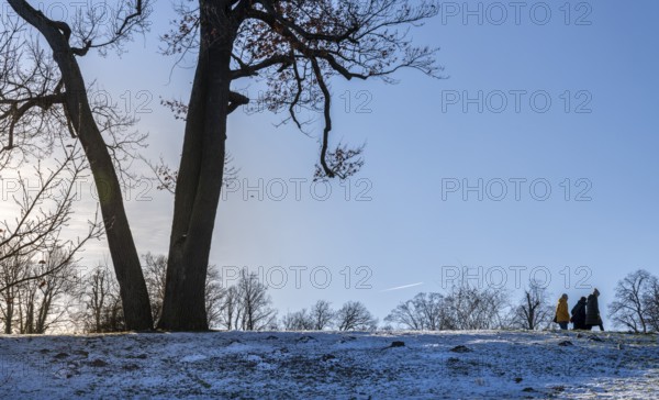 Park Babelsberg, winter impressions, Potsdam, Brandenburg, Germany, Europe