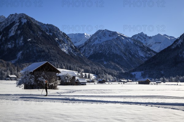 Winter landscape in the snow, mountains of the Allgäu Alps in the background, Oberstdorf, Oberallgäu, Allgäu, Bavaria, Germany, Europe