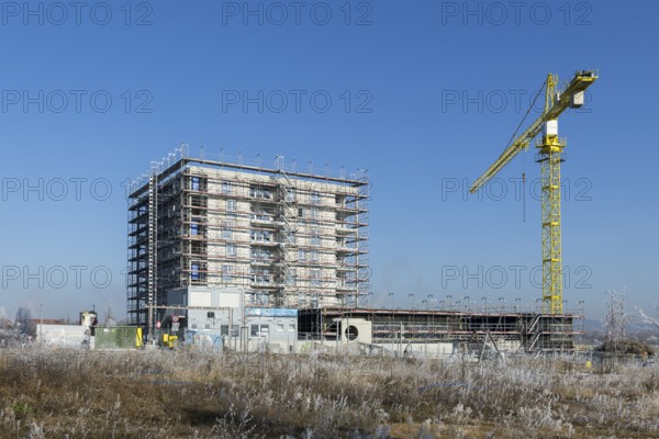 Construction site with high-rise building and yellow crane in the background, quiet winter morning, housing construction, new construction of 50 flats, new development area, apartment building, construction site, Winnenden, Baden-Württemberg, Germany, Europe