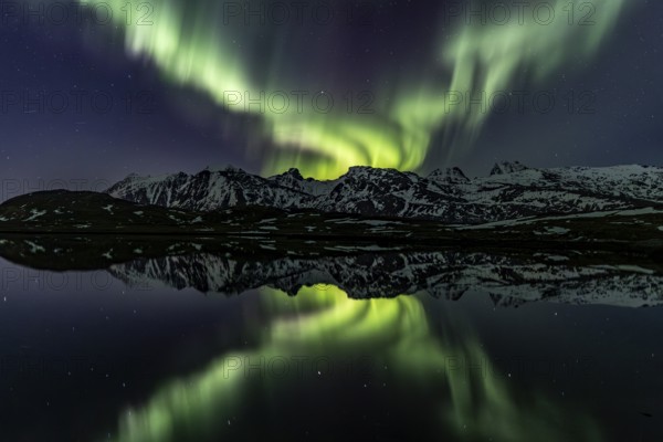 Yellow and green northern lights reflected in fjord, steep mountains, aurora borealis, winter, Moskenesoya, Lofoten, Norway, Europe