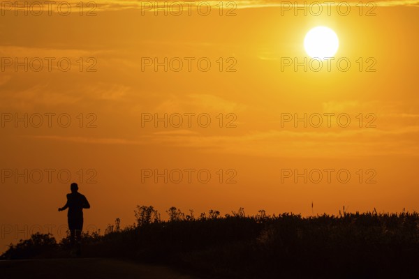 A jogger runs through a field near Frankfurt am Main in the morning, shortly after sunrise., Frankfurt am Main, Hesse, Germany, Europe