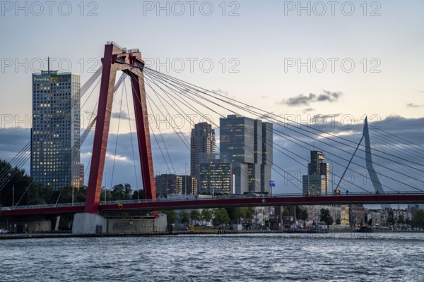 The skyline of Rotterdam, with the Willemsbrug and the Erasmus Bridge, behind, over the Nieuwe Maas, Netherlands