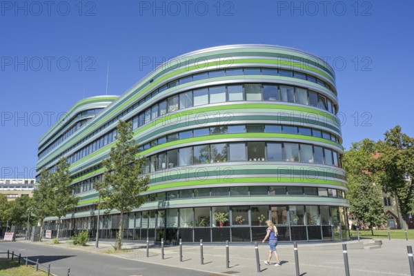 Green Amoeba, Humboldt University, Institute of Biology of the Faculty of Life Sciences, Rhoda-Erdmann-Haus, Philippstraße, Mitte, Berlin, Germany, Europe