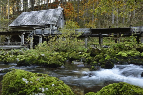 Old watermill on the Pieslingbach river, bei Windischgarsten, Upper Austria, Austria, Europe