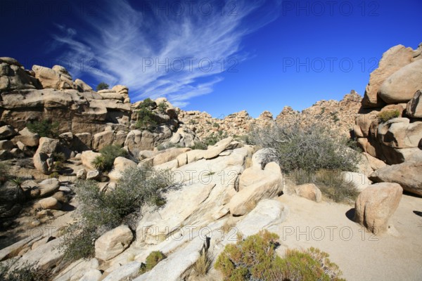 Rocky landscape in Joshua Tree National Park, Mojave Desert, California, USA, North America
