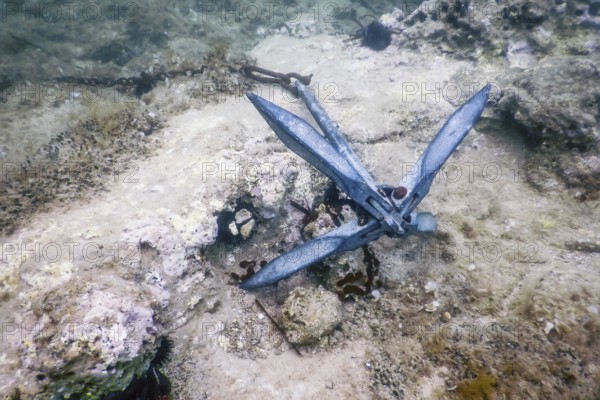 Anchor Lying on the Seabed Underwater Life