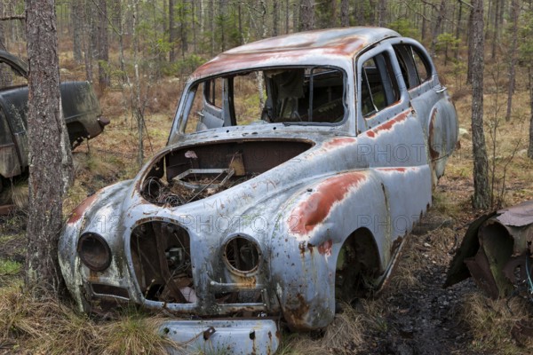 Old car wreck in the car cemetery of Kyrkoe Mosse, Ryd, Tingsryd, Kronoberg County, Sweden, Europe