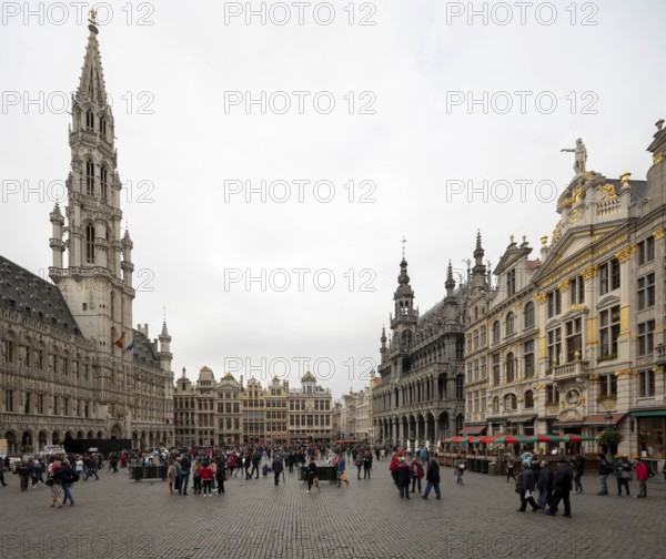 Brussels, Bruxelles, Grand Place, Grote Markt, view from south-east, on the left the town hall, on the right the Maison du Roi