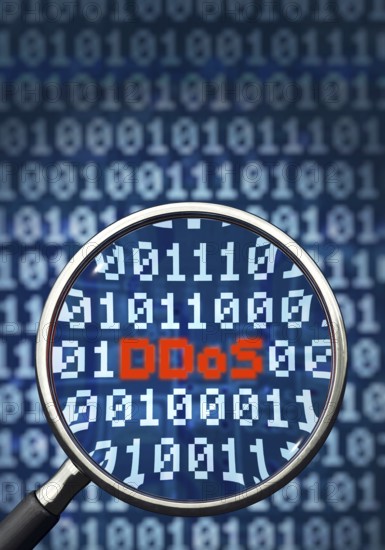DDoS, attack, DoS, cyberspace, server, DDoS attack, denial of service, overload, data network, PC, hacker, network, data, danger, computer, calculator, viruses, Trojan, virus, computer virus, scan, botnets, bots, advice, help, 01, magnifying glass, search, find