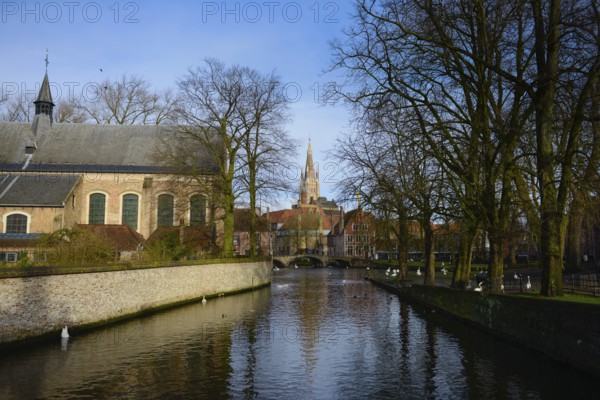 View of canal and Church of Our Lady from Begijnhof, Brugge, Belgium, Europe