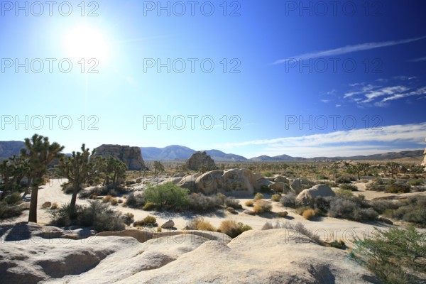 Rocky landscape in Joshua Tree National Park, Mojave Desert, California, USA, North America