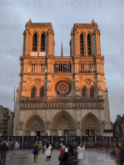 Notre Dame Cathedral in Paris glowing under evening light. Paris, France, Europe
