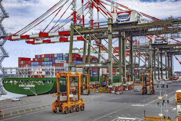 Straddles, Cranes and Containers, Port of Elizabeth Stevedore, Newark, New Jersey