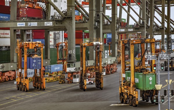 Straddles and Cranes Moving Shipping Containers, Container Shipping Yard, Port of Elizabeth, Newark, New Jersey, USA, North America