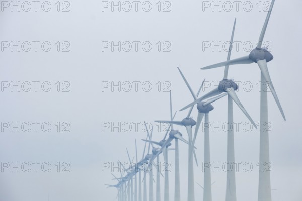 Wind turbines in a row on the coast in the mist and fog