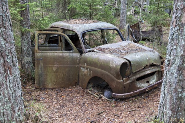 Old car wreck in the car cemetery of Kyrkoe Mosse, Ryd, Tingsryd, Kronoberg County, Sweden, Europe