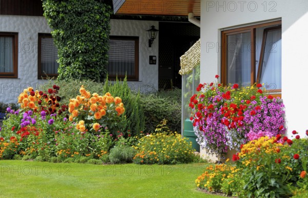 Baden-Württemberg, Black Forest house with flower garden in summer, different summer flowers in the garden, petunias and geraniums at the window outside