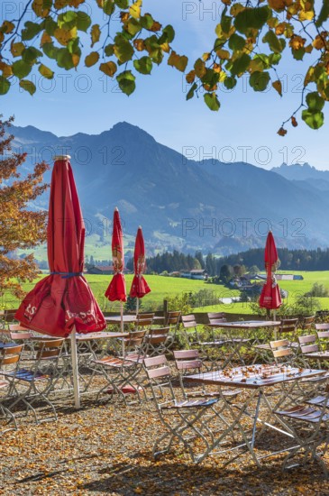 Autumn beer garden with parasols on the Schweineberg, blue sky, near Ofterschwang, Allgäu, Bavaria, Germany, Europe