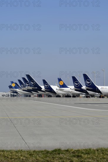 Various Lufthansa aircraft at check-in position in front of satellite, Terminal 2, Munich Airport, Upper Bavaria, Bavaria, Germany, Europe